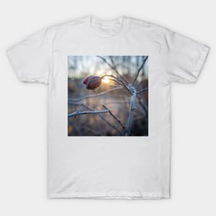 frosty rosehip on a branch T-Shirt